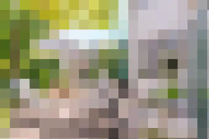 Ommeland 22 Purmerend thumbnail 37