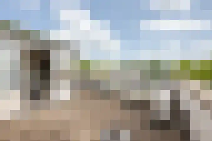 Ommeland 27 Purmerend thumbnail 28