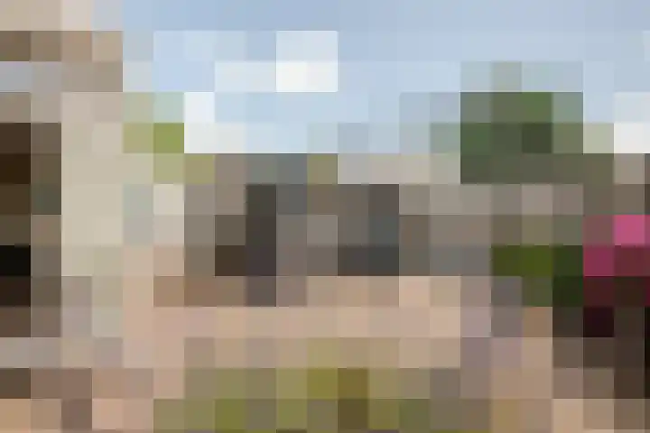 Ommeland 27 Purmerend thumbnail 33