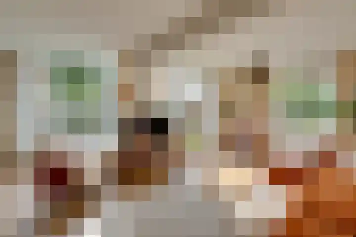 Ommeland 3 Purmerend thumbnail 14