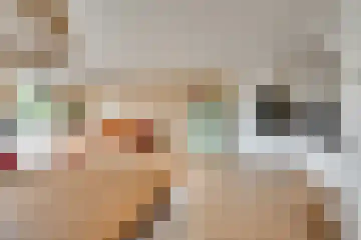 Ommeland 3 Purmerend thumbnail 19