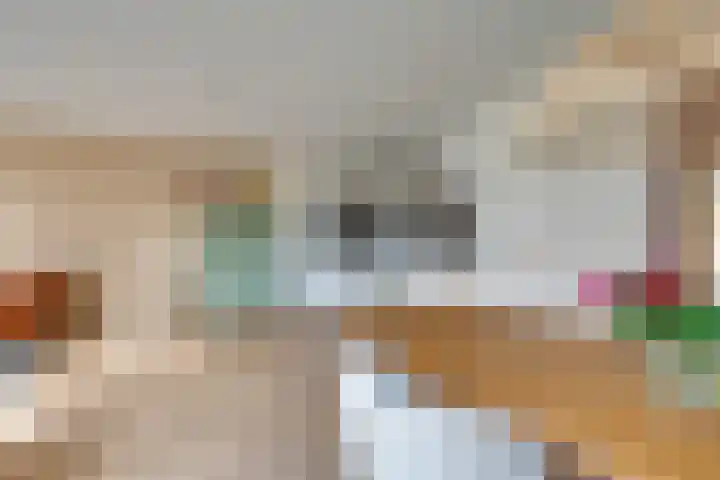 Ommeland 3 Purmerend thumbnail 22