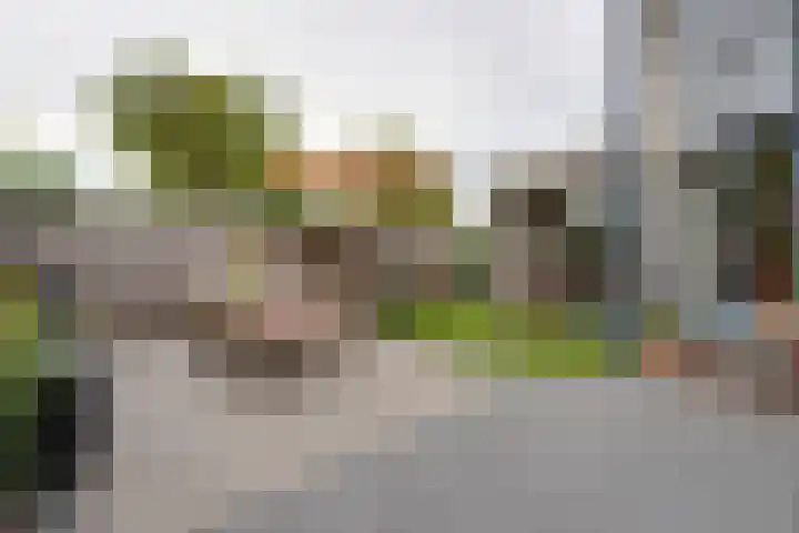 Ommeland 3 Purmerend thumbnail 31