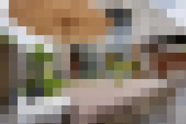Ommeland 3 Purmerend thumbnail 4