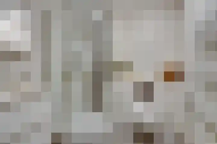 Ommeland 3 Purmerend thumbnail 43