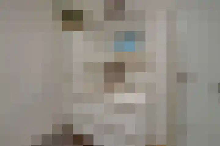Ommeland 3 Purmerend thumbnail 44