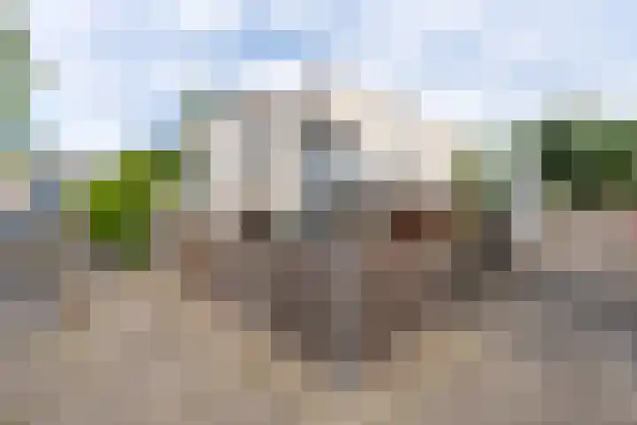 Ommeland 3 Purmerend thumbnail 8