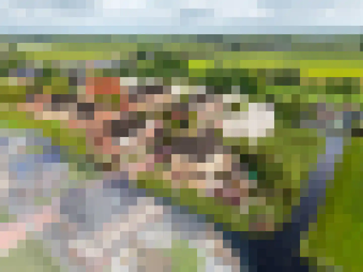 Ommeland 3 Spierdijk thumbnail 6