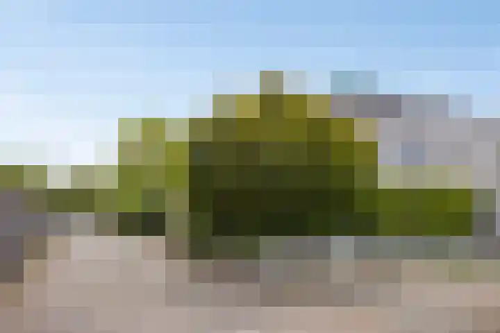 Ommeland 37 Purmerend thumbnail 21