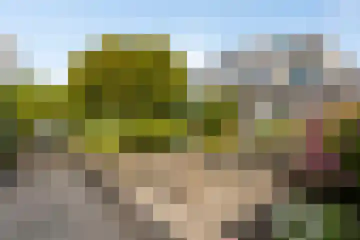 Ommeland 37 Purmerend thumbnail 26