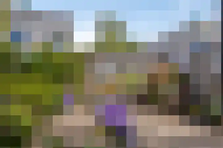 Ommeland 37 Purmerend thumbnail 27