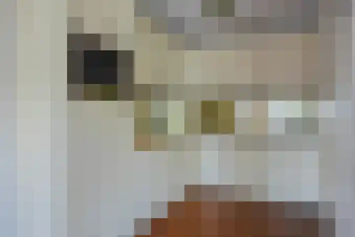 Ommeland 37 Purmerend thumbnail 4