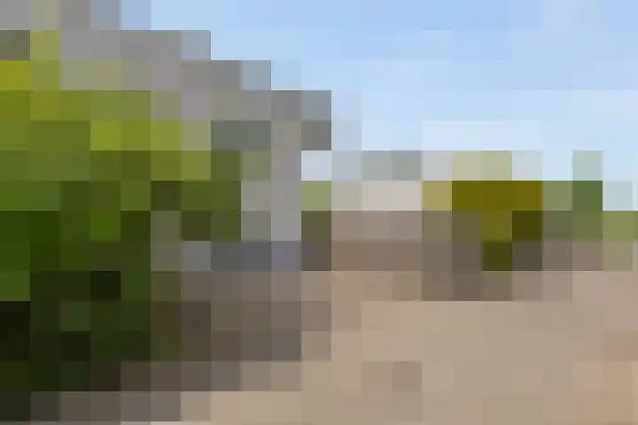 Ommeland 37 Purmerend thumbnail 6