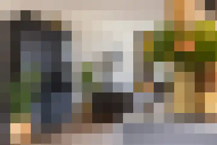 Ommeland 40 Apeldoorn thumbnail 14