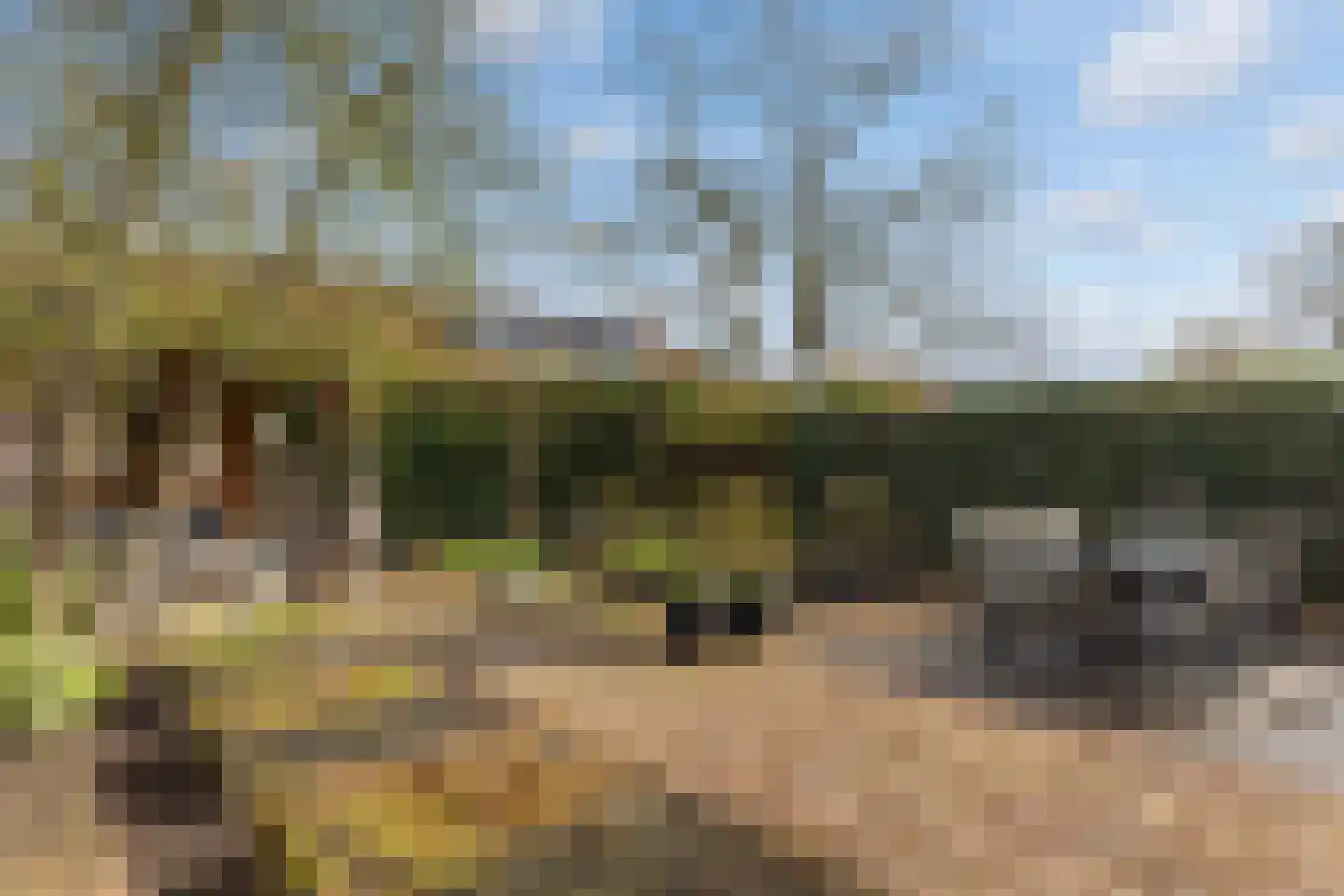 Ommeland 40 Apeldoorn thumbnail 21