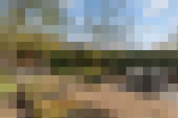 Ommeland 40 Apeldoorn thumbnail 21