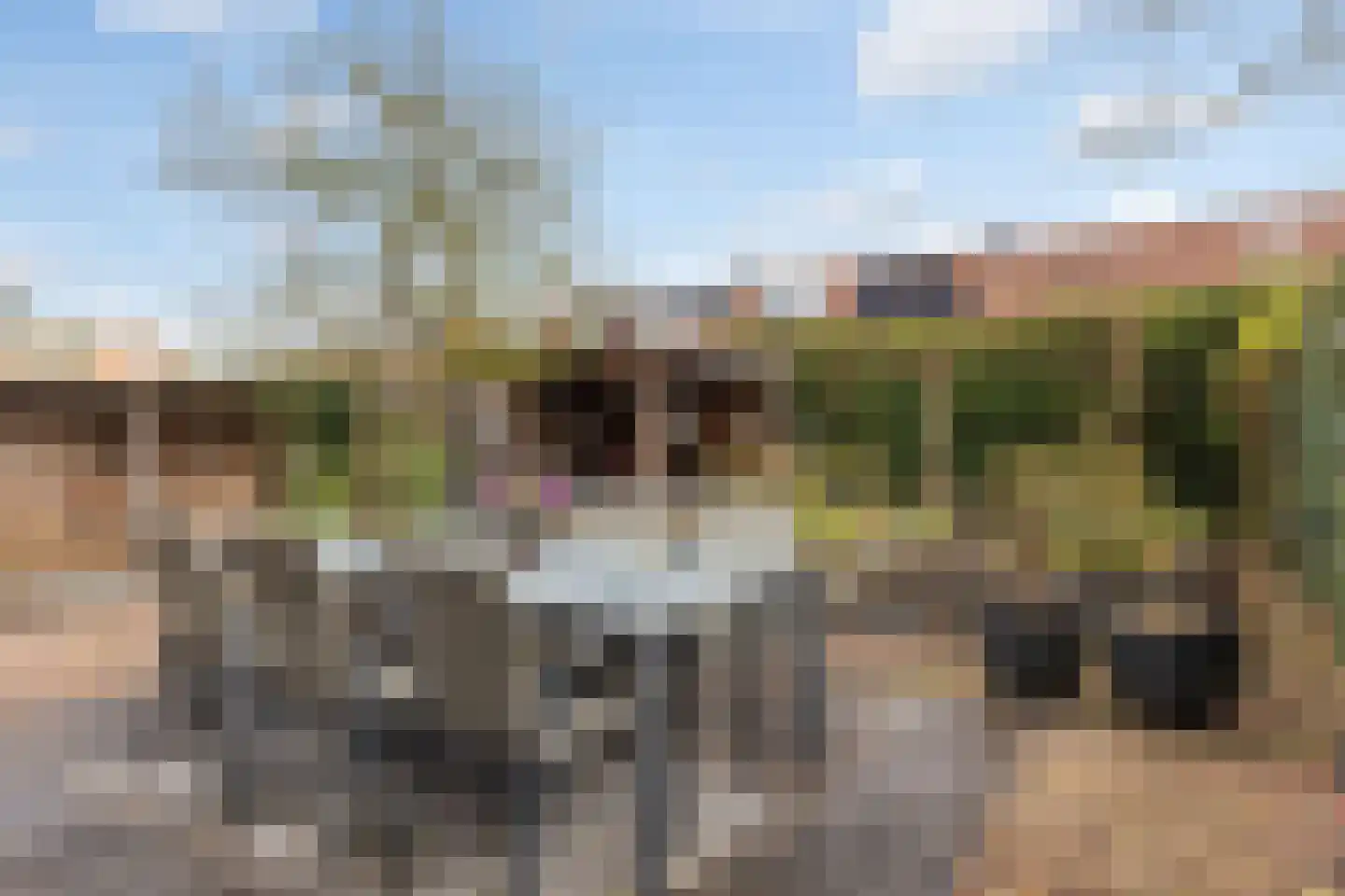 Ommeland 40 Apeldoorn thumbnail 22