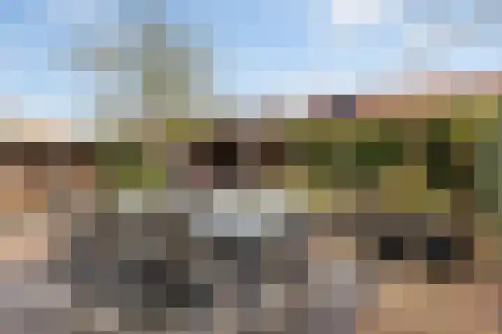 Ommeland 40 Apeldoorn thumbnail 22