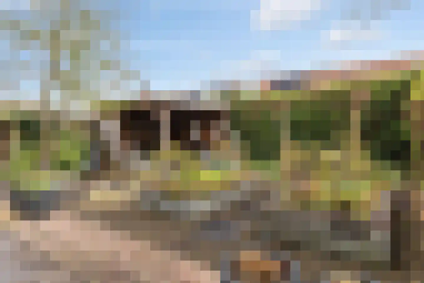 Ommeland 40 Apeldoorn thumbnail 23