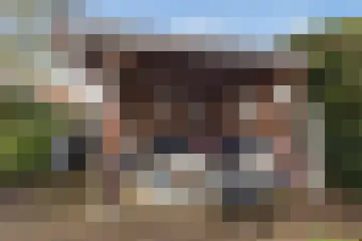 Ommeland 40 Apeldoorn thumbnail 24