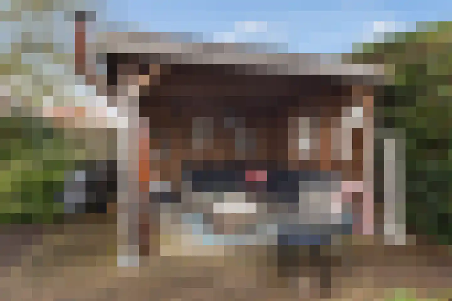 Ommeland 40 Apeldoorn thumbnail 24