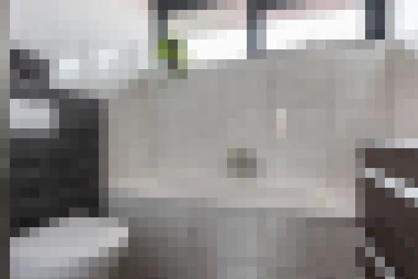 Ommeland 40 Apeldoorn thumbnail 37