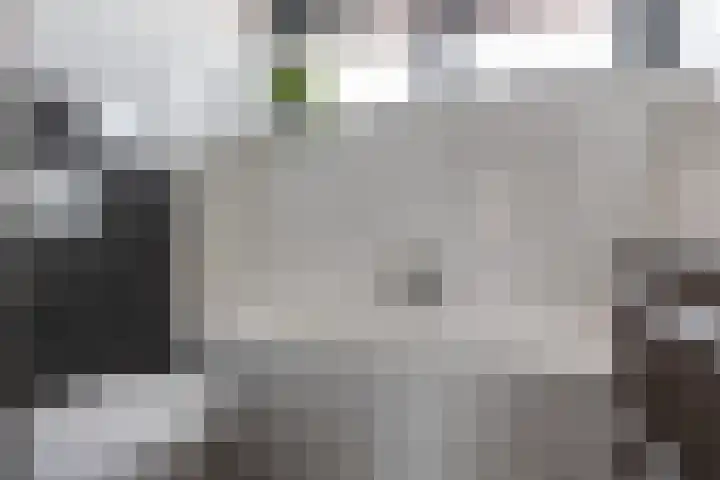 Ommeland 40 Apeldoorn thumbnail 37