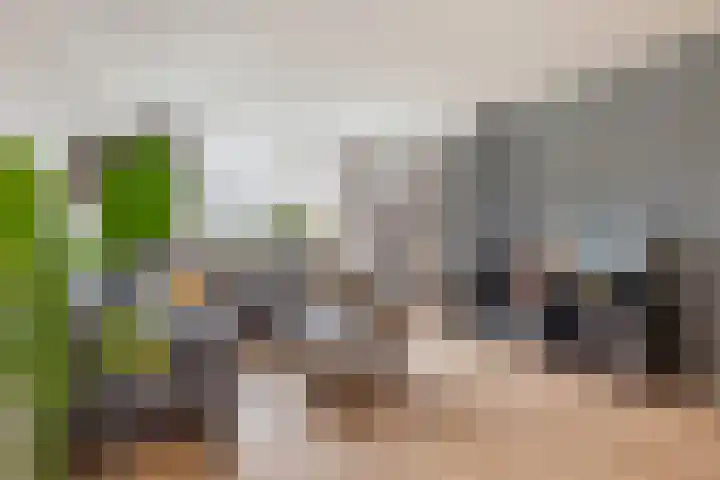 Ommeland 40 Apeldoorn thumbnail 4