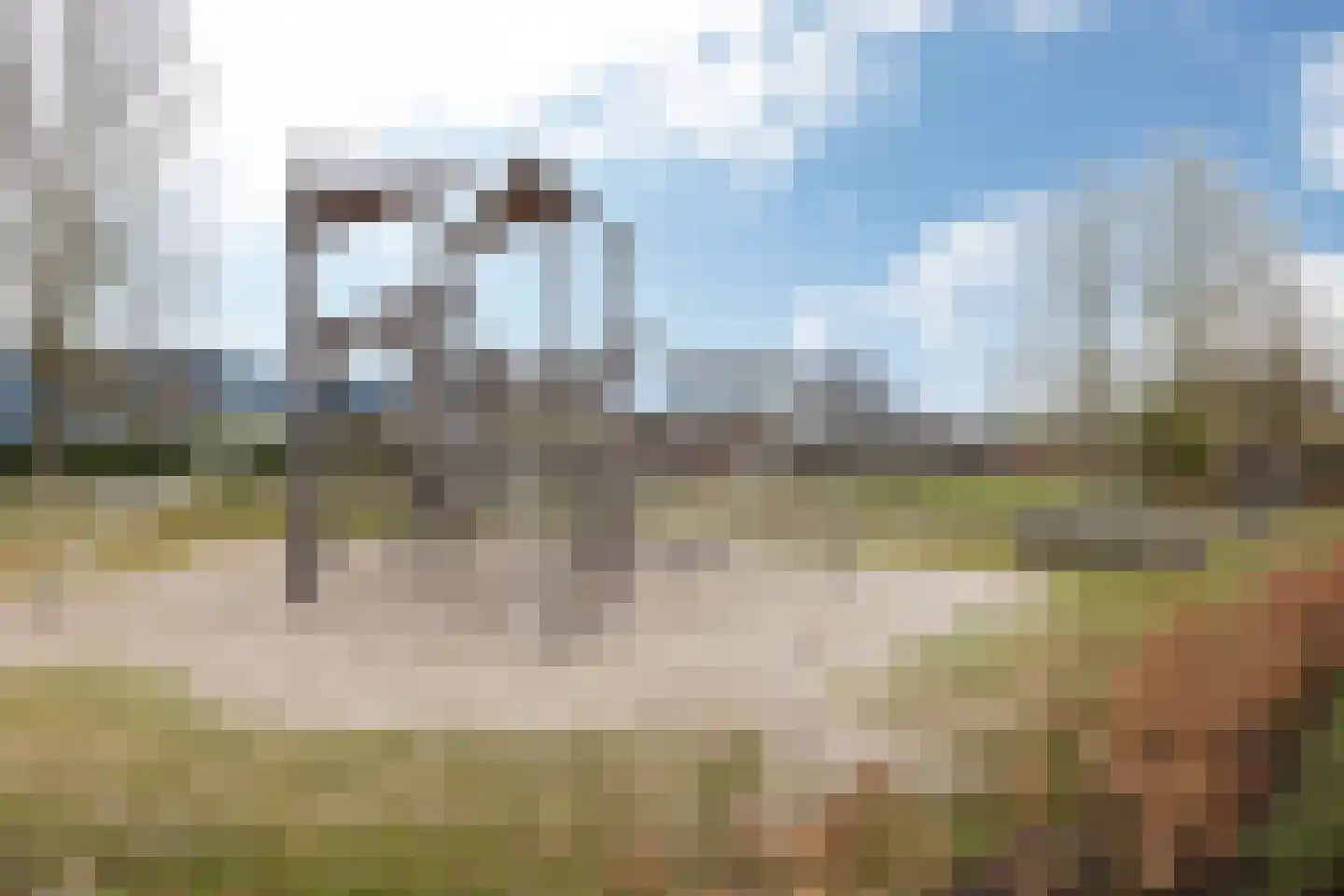 Ommeland 40 Apeldoorn thumbnail 45