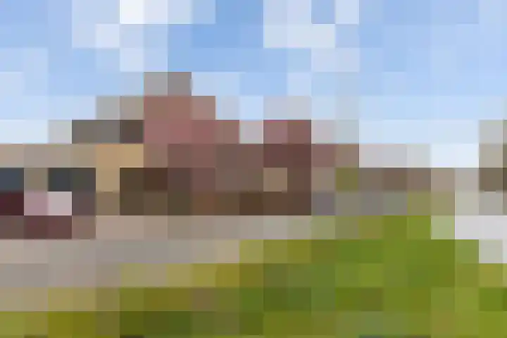 Ommeland 40 Apeldoorn thumbnail 46