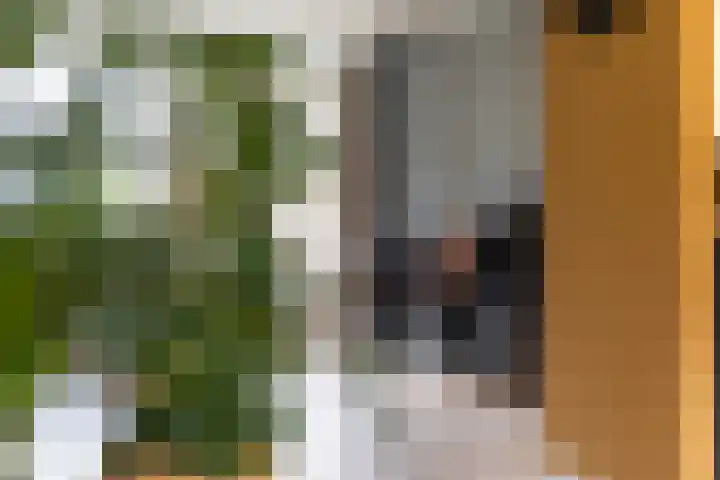 Ommeland 40 Apeldoorn thumbnail 6