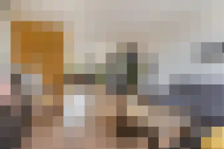 Ommeland 40 Apeldoorn thumbnail 8