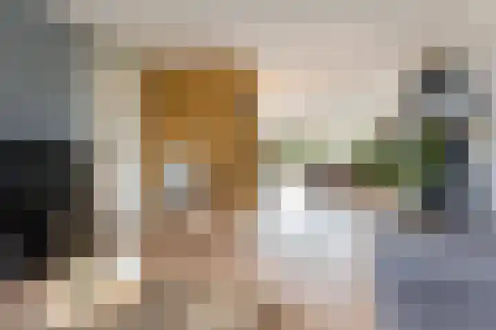 Ommeland 40 Apeldoorn thumbnail 9