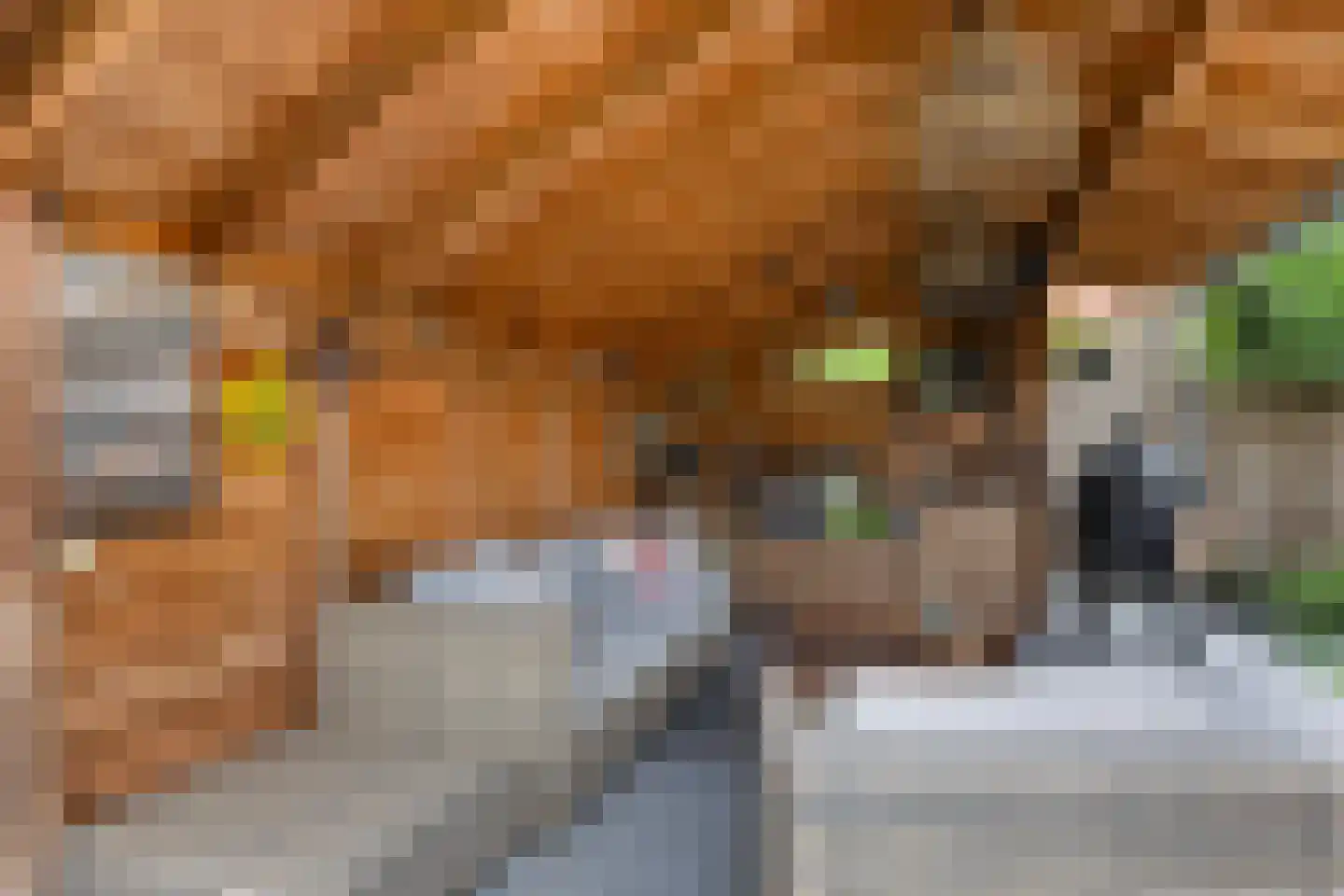 Ommeland 6 Apeldoorn thumbnail 12