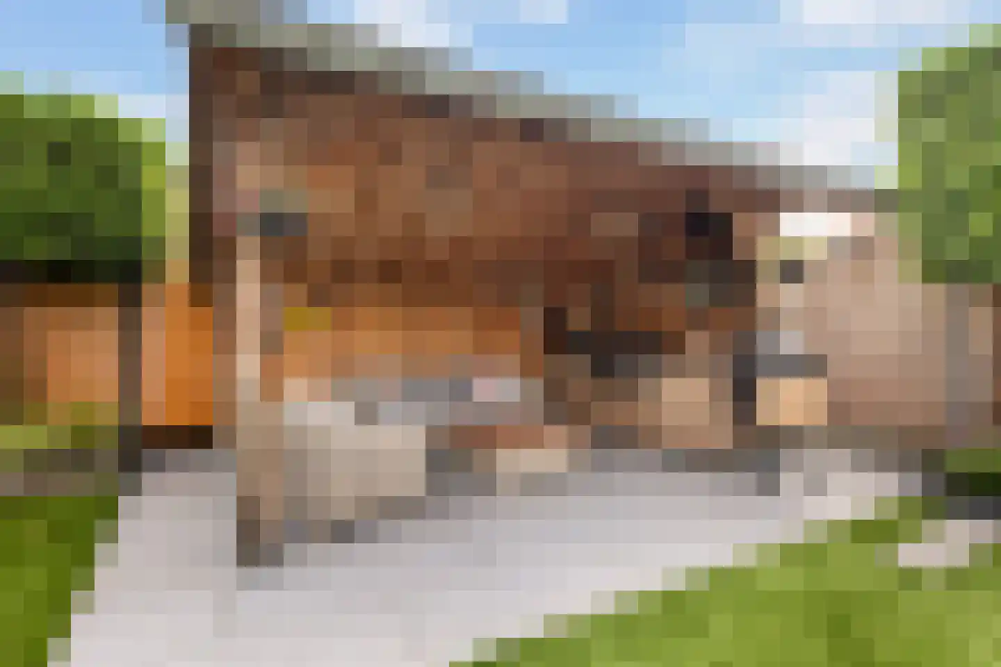 Ommeland 6 Apeldoorn thumbnail 13