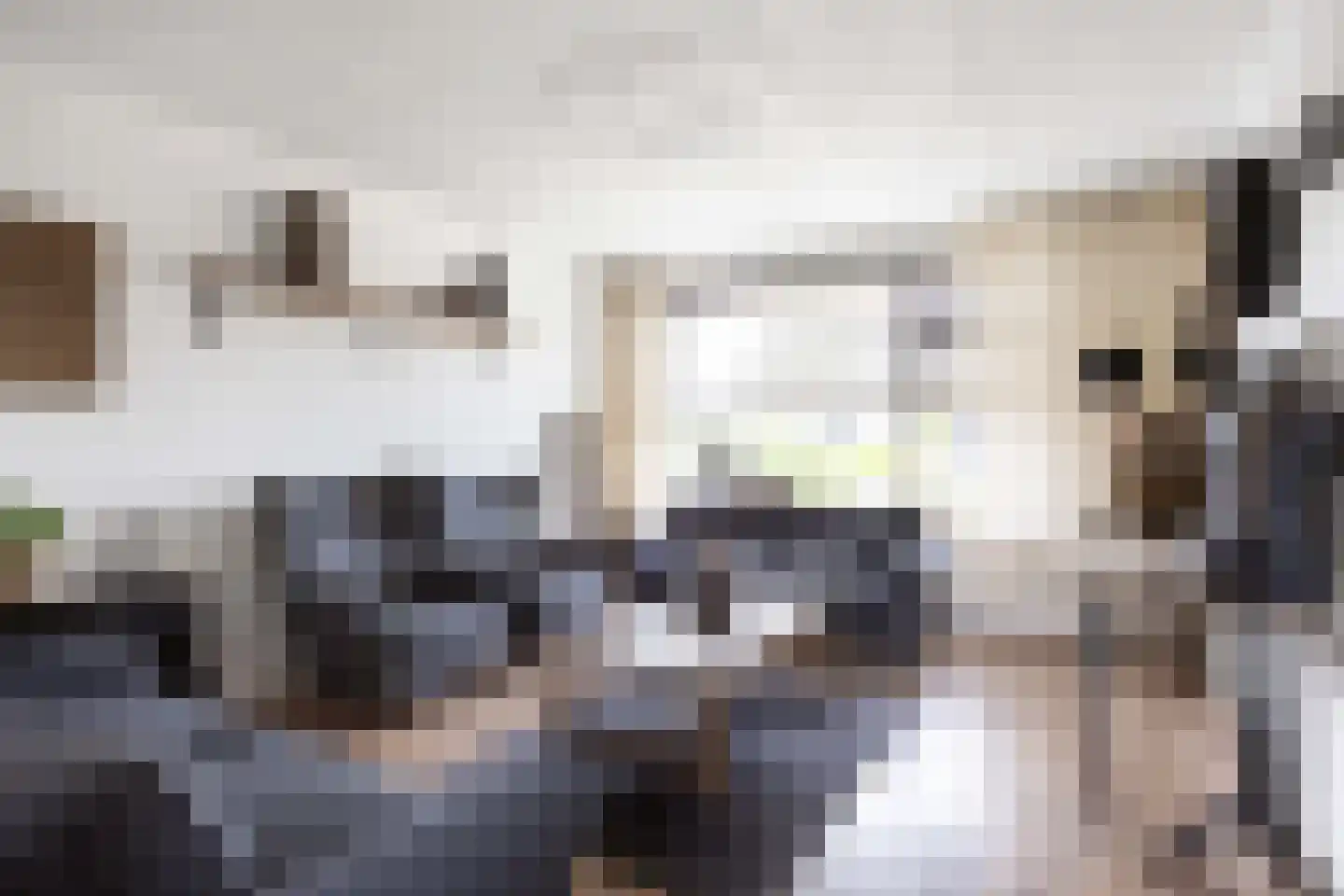 Ommelanderdrift 34 Bedum thumbnail 10