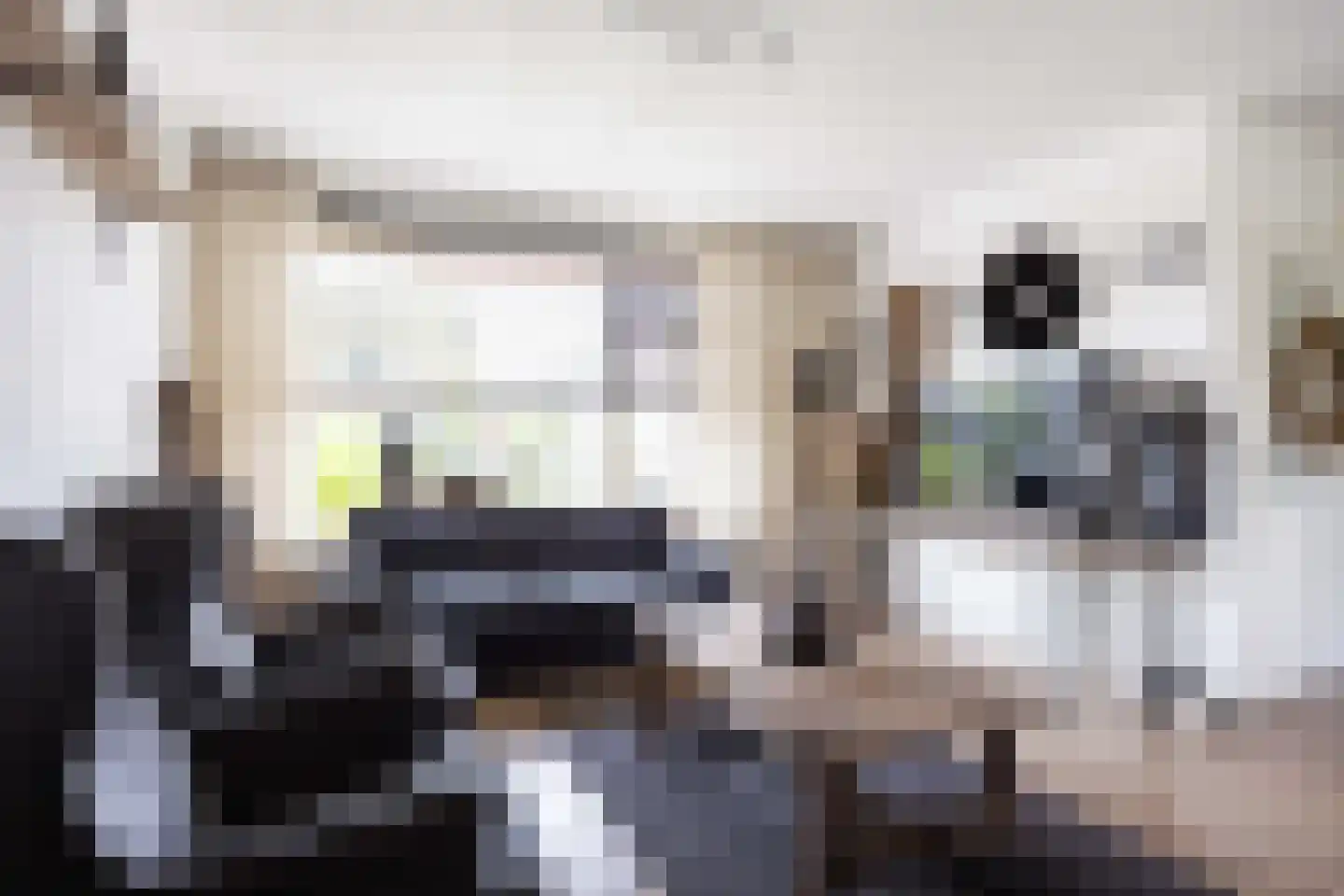 Ommelanderdrift 34 Bedum thumbnail 11