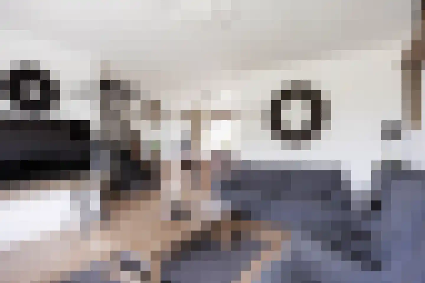 Ommelanderdrift 34 Bedum thumbnail 12