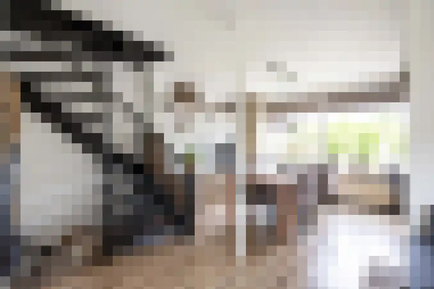 Ommelanderdrift 34 Bedum thumbnail 13