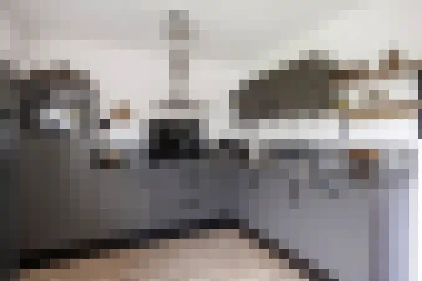 Ommelanderdrift 34 Bedum thumbnail 17