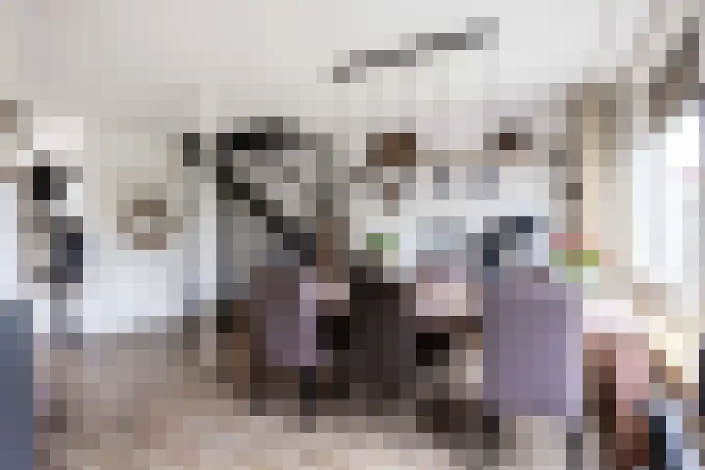 Ommelanderdrift 34 Bedum thumbnail 20