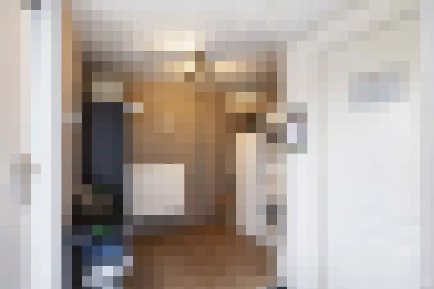 Ommelanderdrift 34 Bedum thumbnail 21
