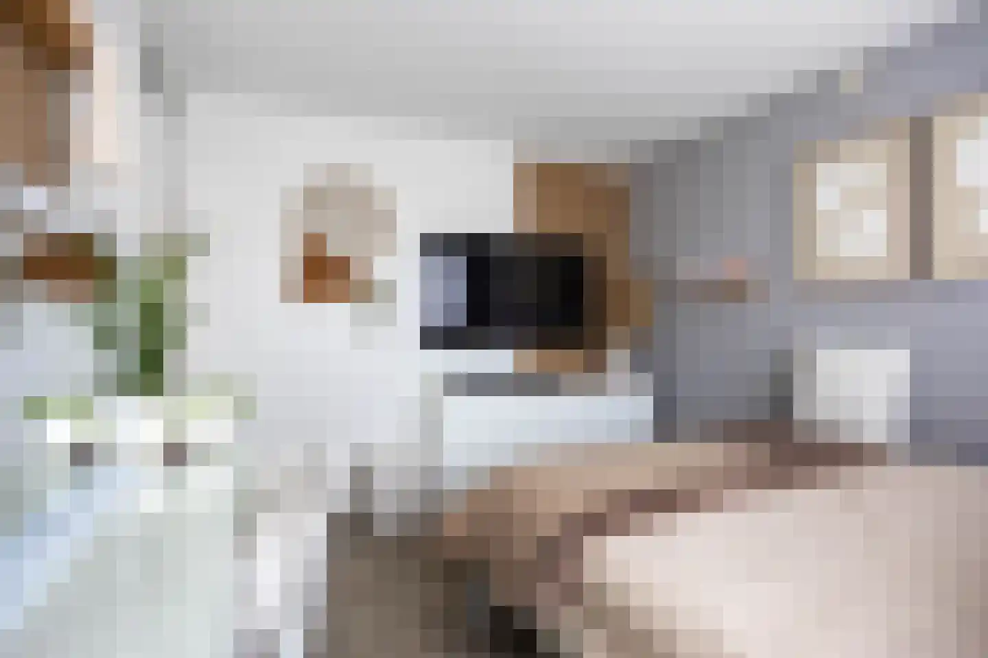 Ommelanderdrift 34 Bedum thumbnail 26