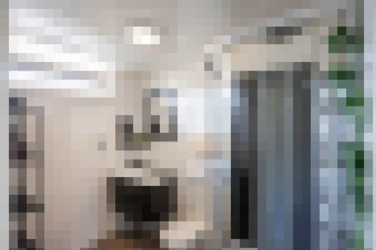 Ommelanderdrift 34 Bedum thumbnail 31