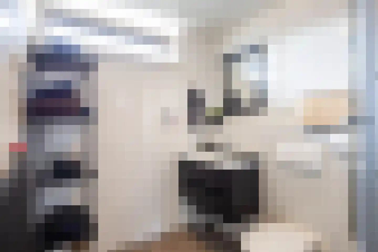 Ommelanderdrift 34 Bedum thumbnail 32