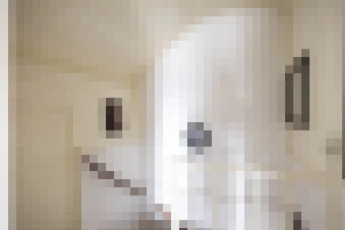 Ommelanderdrift 34 Bedum thumbnail 36