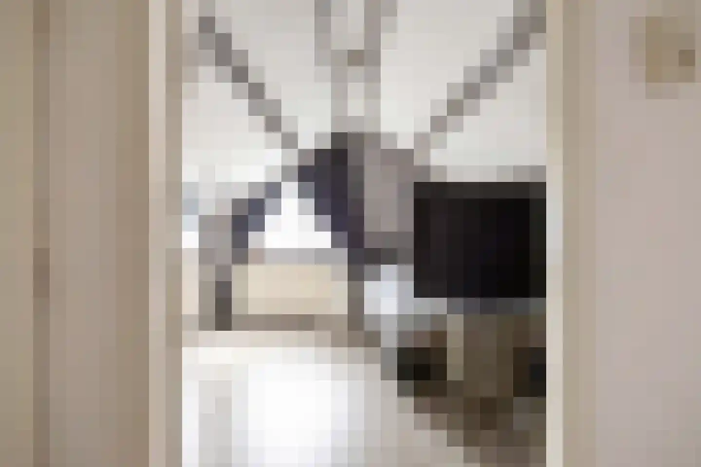 Ommelanderdrift 34 Bedum thumbnail 37