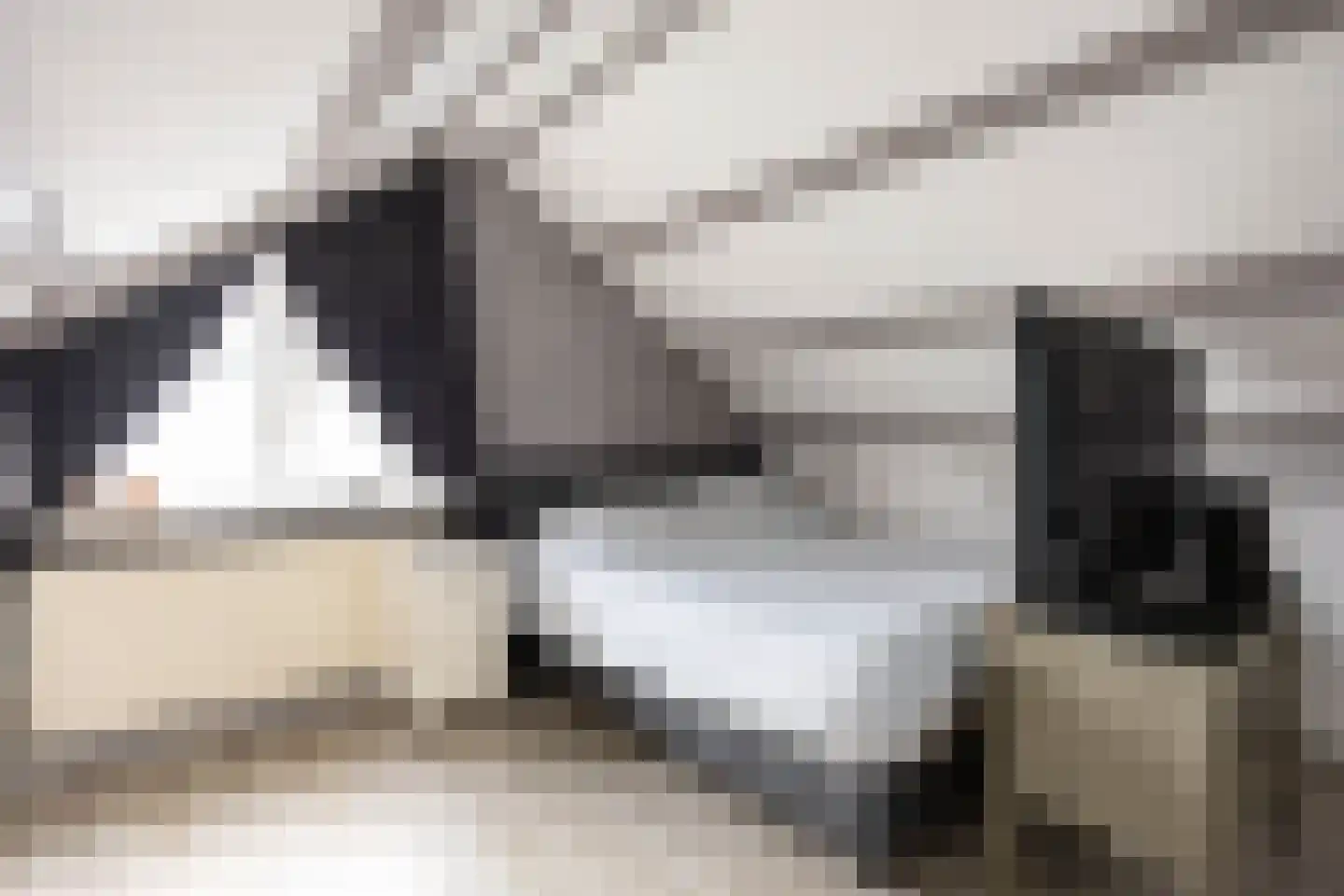 Ommelanderdrift 34 Bedum thumbnail 38