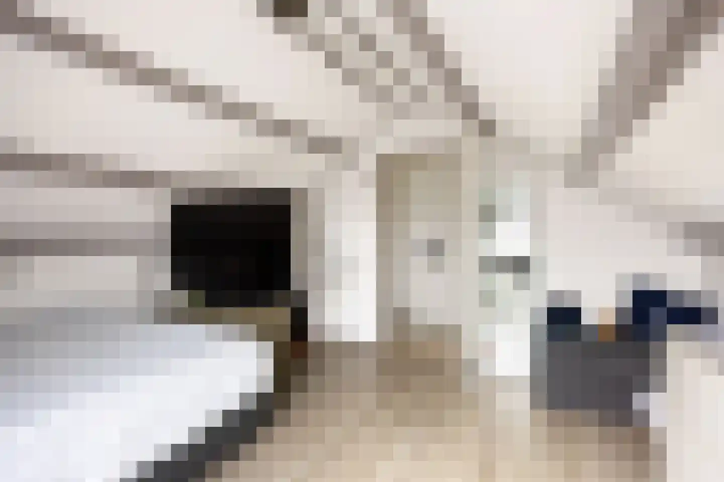 Ommelanderdrift 34 Bedum thumbnail 39