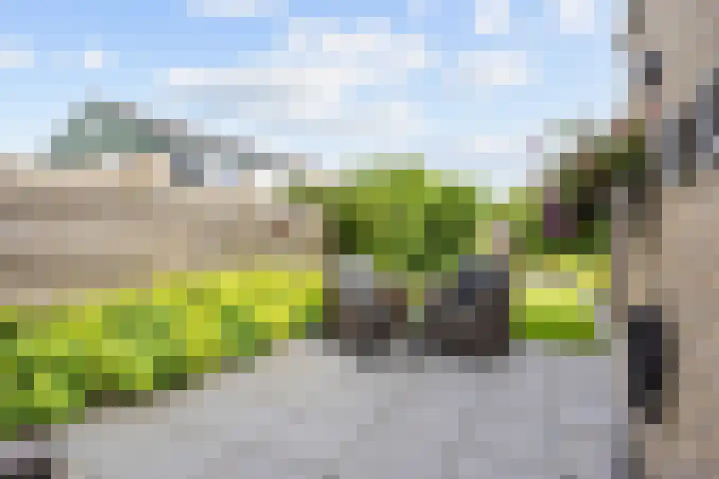 Ommelanderdrift 34 Bedum thumbnail 40